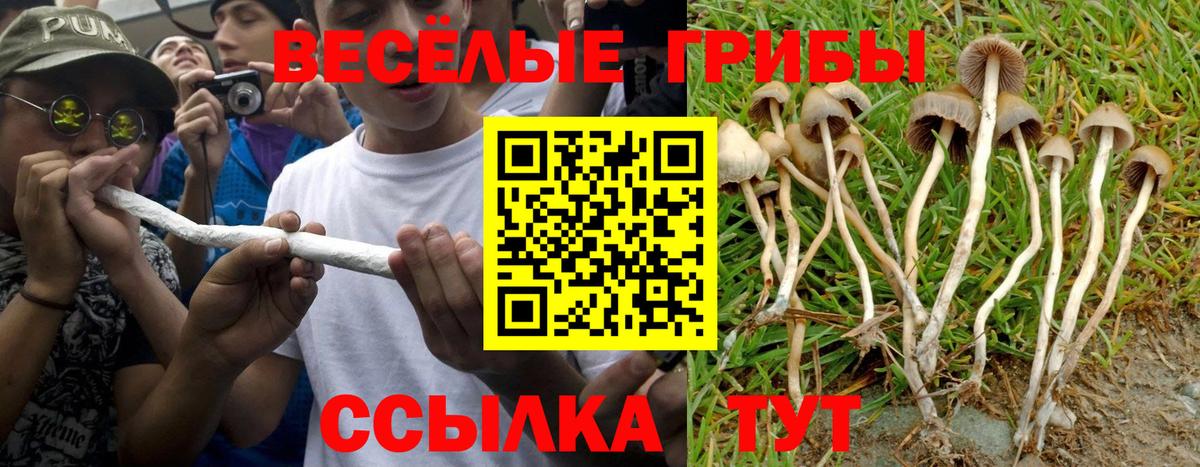 Галлюциногенные грибы Cubensis Нурлат